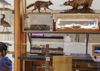 San Francisco events guide: What to do in The City this week | The City