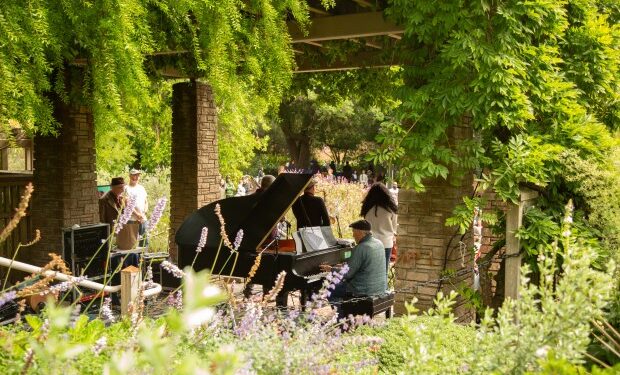Twelve pianos will pop up in the San Francisco Botanical Garden in September. (Courtesy of Gardens of Golden Park)
