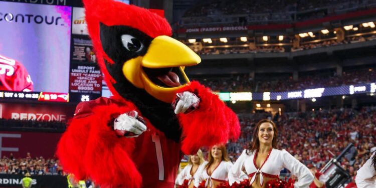 Arizona Cardinals vs. San Francisco 49ers: How to watch, schedule, live stream info, start time, TV channel