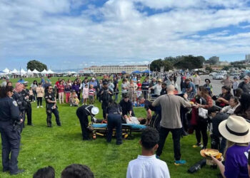 Paramedics treat Millicent