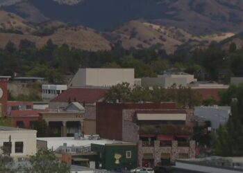 Walnut Creek touts 21% increase in new business licenses