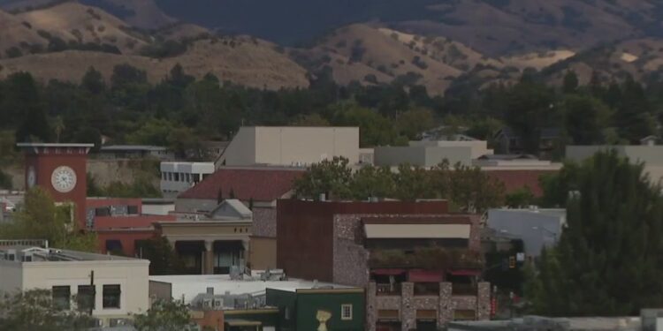 Walnut Creek touts 21% increase in new business licenses