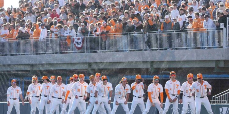 Tennessee baseball coach options, portal process if Tony Vitello leaves