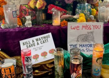San Francisco Mourns Iconic Bodega Cat Said to Be Hit by a Waymo