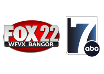 Waymo Says Cat Darted Under Self-Driving Car Before Fatal San Francisco Crash | Entertainment