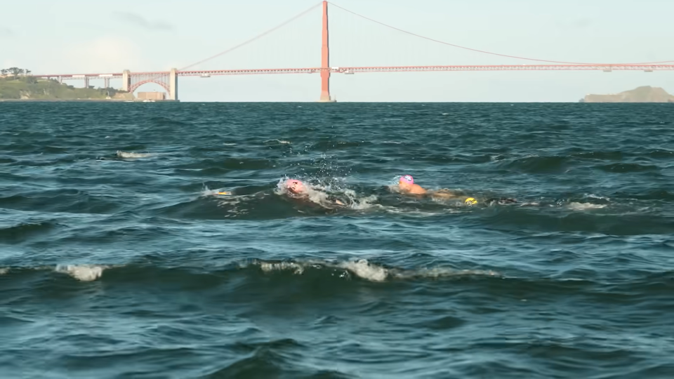 Swimming past the Golden Gate Bridge 