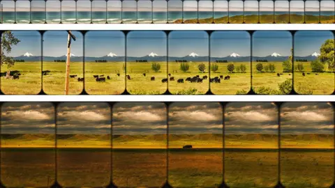 Katie Edwards A panoramic image made up of different photographs showing field and cattle